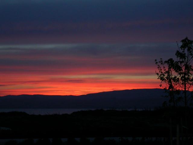 DSCN0274